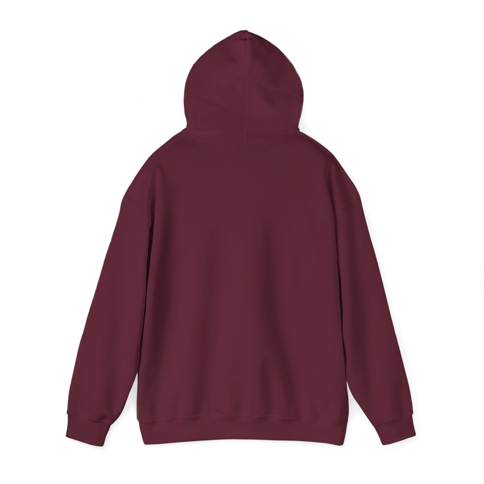 Eye Don't Chase Hooded Sweatshirt